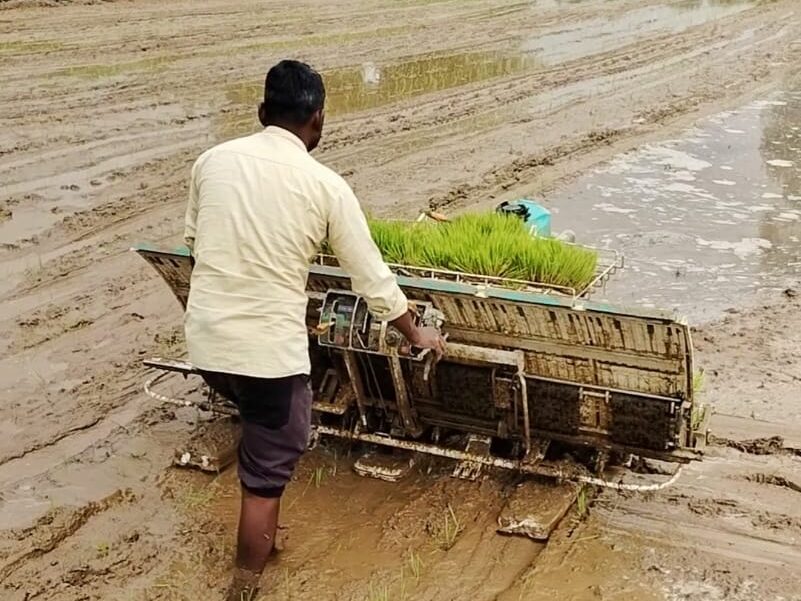 dhaan ropai ki machine, paddy transplanter, धान लगाने की मशीन 