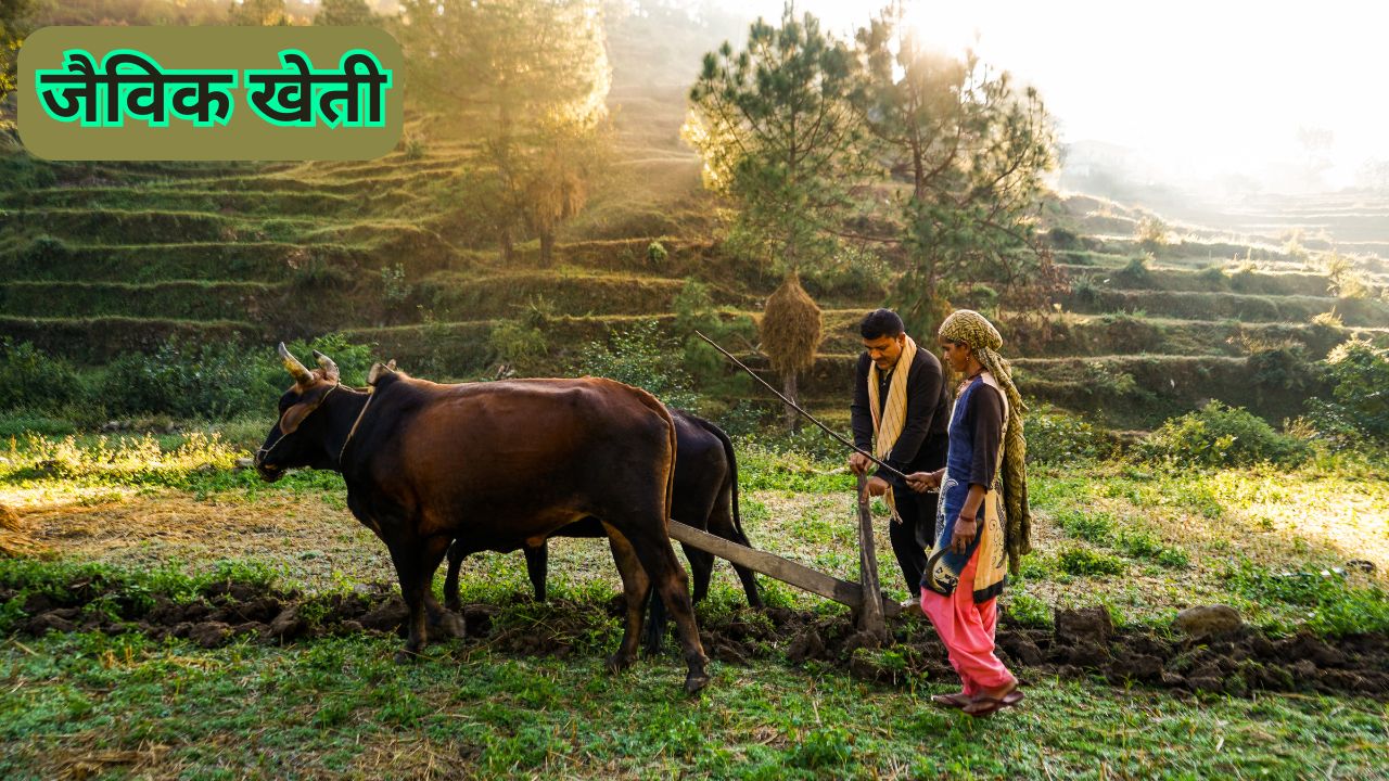जैविक खेती क्या है