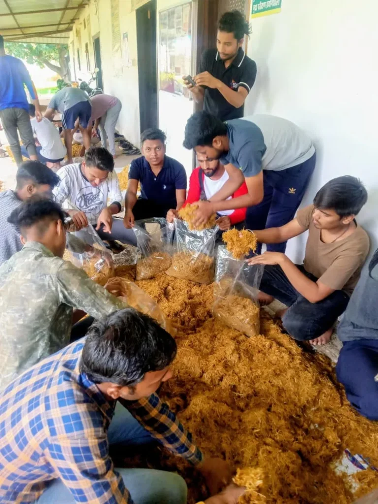 mushroom ke beej ki buvai,मशरुम के बीज की बुवाई 