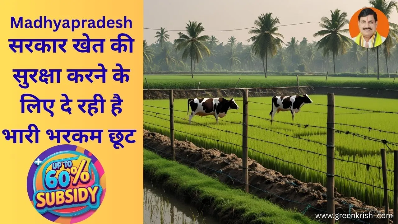 खेत तारबंदी योजना