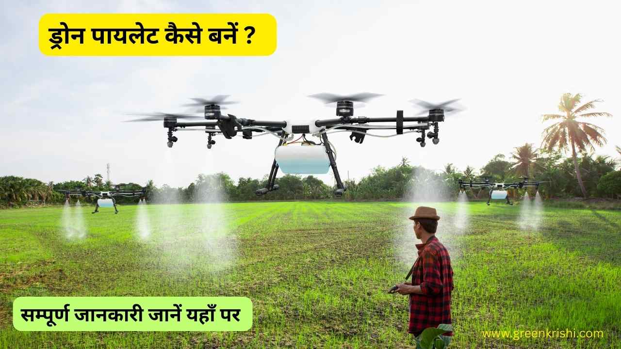 ड्रोन पायलेट कैसे बनें