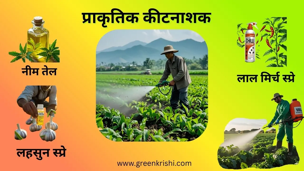प्राकृतिक कीटनाशक