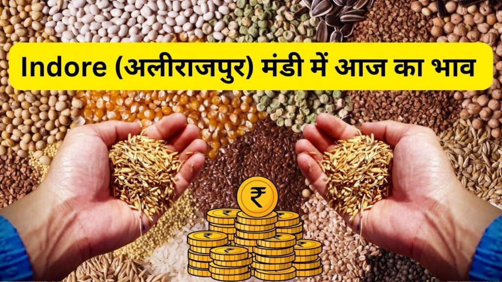 अलीराजपुर मंडी में आज का भाव 
