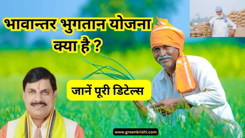 भावान्तर भुगतान योजना क्या है | कब लागु हुई थी |