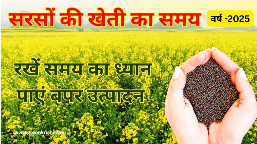 सरसों की खेती का समय 