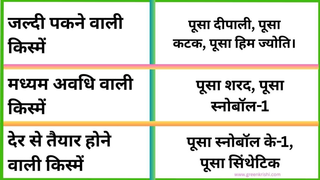 बरसात में फूलगोभी की किस्में, बरसात के लिए फूलगोभी की उपयुक्त किस्में,