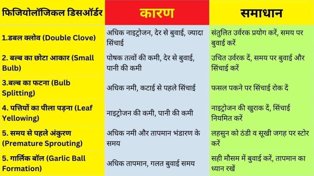 Physiological Disorder in Garlic Crop, लहसुन की फसल के भौतिक विकार,लहसुन के फिजियोलॉजिकल डिसऑर्डर 