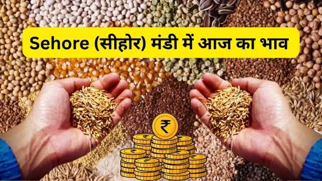सेहोरे मंडी भाव