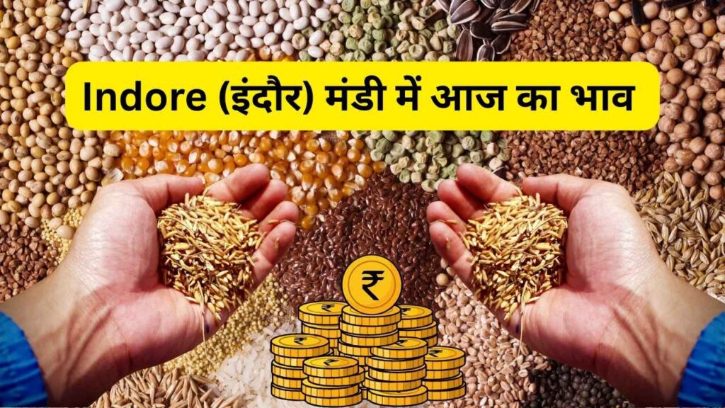 इंदौर मंडी भाव, गेहूँ का भाव इंदौर मंडी,Indore mandi bhav, Gehun ka bhaav indore mandi,