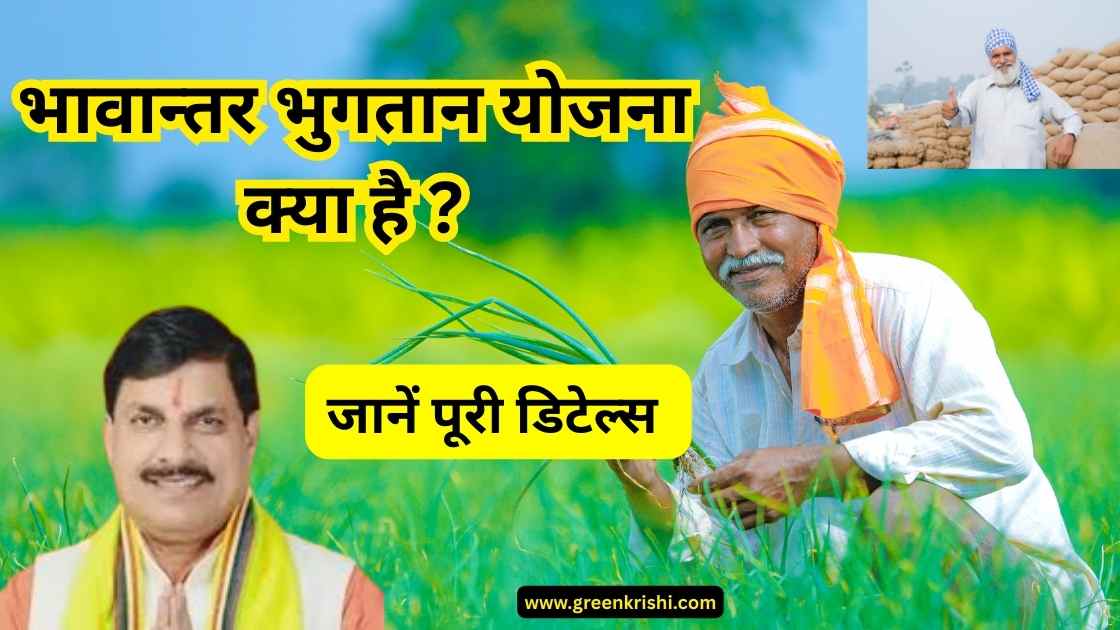 भावान्तर भुगतान योजना